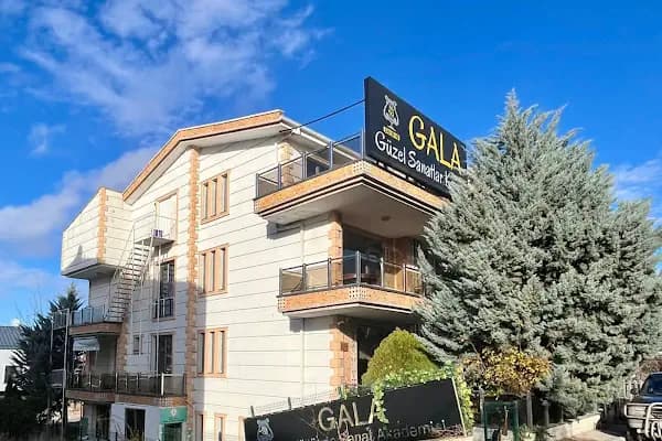 Gala Sanat Akademisi - TC MEB ÖZEL GALA GÜZEL SANATLAR KURSU - Müzik Okulu - Ankara Çankaya