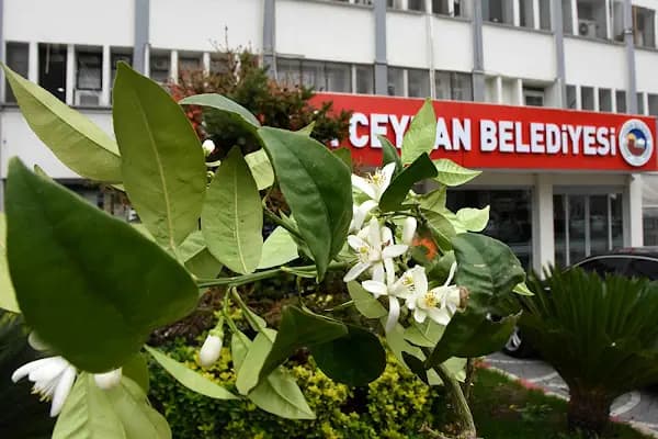 Ceyhan Belediyesi - Belediye Binası - Adana Ceyhan
