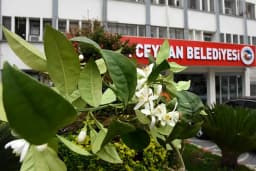 Ceyhan Belediyesi