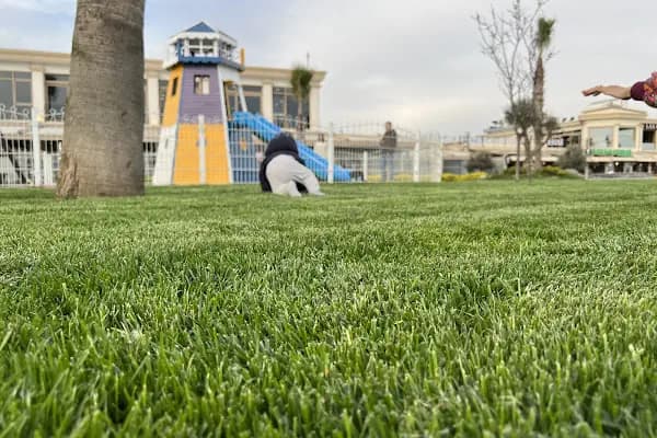Çucuk Parkı - Park - Kocaeli Başiskele