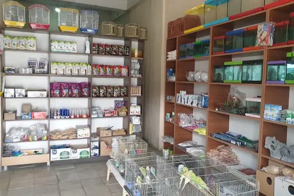 Çermik Akvaryum - Akvaryum Mağazası - Diyarbakır Çermik