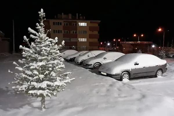 Erzurum AFAD Arama Ve Kurtarma Birliği - Devlet Dairesi - Erzurum Palandöken