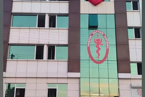 Özel Trabzon Havyan Hastanesi - Hayvan Hastanesi - Trabzon Ortahisar
