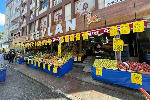 Ceylan Market - Süpermarket - İstanbul Esenyurt