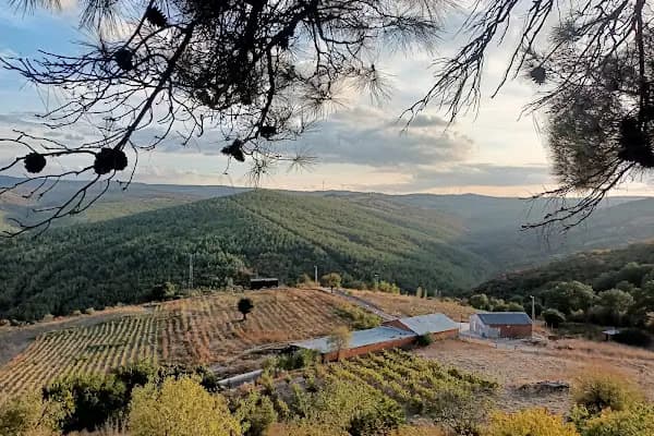 Karavan ve çadır kampcıları Köyüme Bekliyorum.. - Kamp Alanı - Balıkesir Edremit