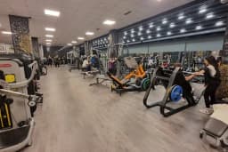 GOLD FİTNESS