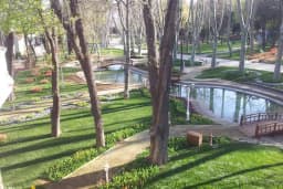 Düzler Çamı Milli Parkı