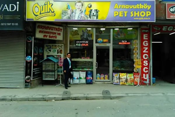 Arnavutköy Akvaryum - Evcil Hayvan Malzemeleri Mağazası - İstanbul Arnavutköy