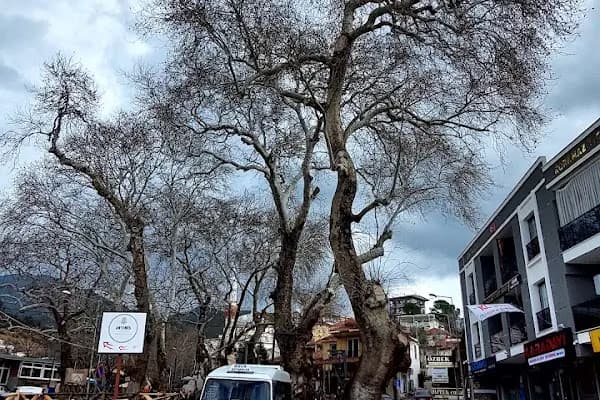 Çınaraltı Erkek Kuaförü - Berber Dükkanı - İzmir Buca