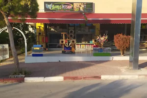 Antalya Baykuş Pet Shop Lara - Evcil hayvan mağazası - Antalya Konyaaltı