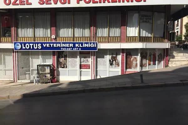 Lotus Veteriner Kliniği - Veteriner - İzmir Aliağa