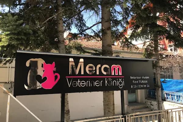 MERAM VETERİNER KLİNİĞİ - Veteriner - Konya Karatay