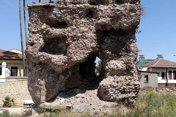 Eski Vilayet Veteriner Kliniği - Veteriner - Adana Çukurova
