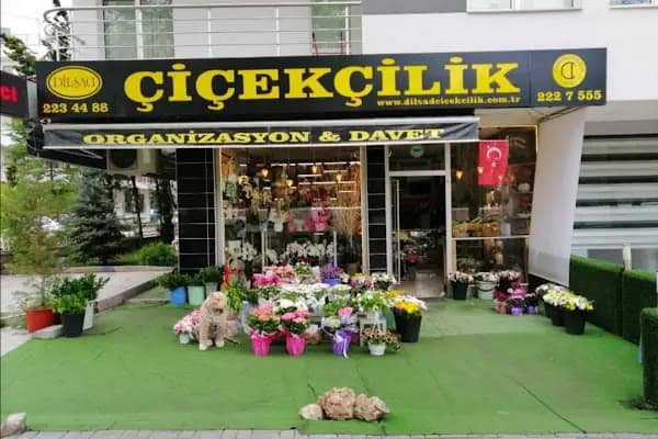 Ankara Çiçek Siparişi.. Dilşad Çiçekçilik - Çiçekçi - Ankara Keçiören