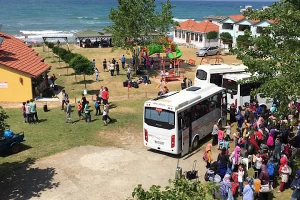 Alsa Tatil Köyü - Self Servis Konaklama - Düzce Düzce Merkez