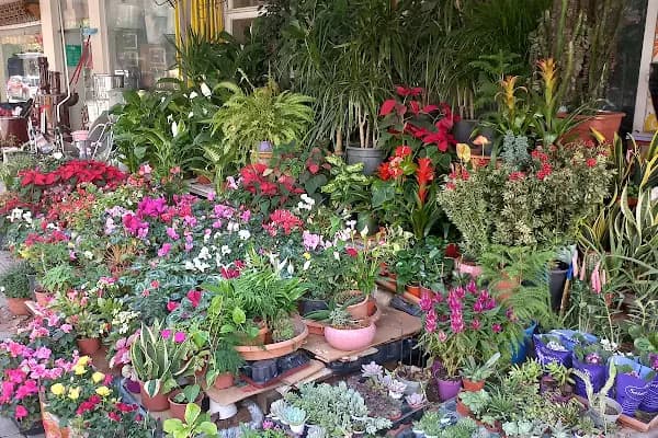 Gökçe Çiçekçilik - Çiçekçi - Antalya Alanya