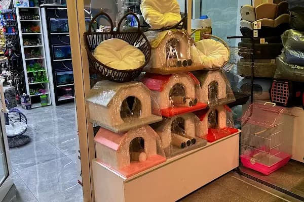 Minipati Petshop - Evcil hayvan mağazası - Antalya Kepez
