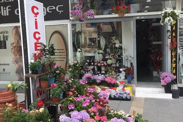 Malatya Çiçekçim - Çiçekçi - Malatya Battalgazi