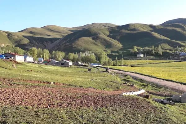 Çat Kaymakamlığı - Resmi Kurum - Erzurum Yakutiye