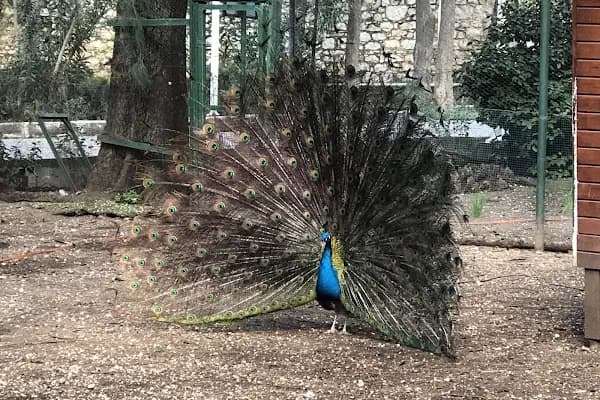 BEF Doğal Yaşam Parkı - Hayvanat Bahçesi - İzmir Çiğli