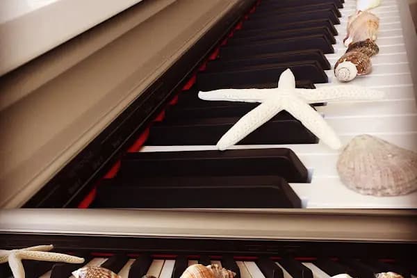 MÜZİK KABUĞU SANAT EĞİTİMİ MERKEZİ - Sanat Merkezi - İstanbul Üsküdar