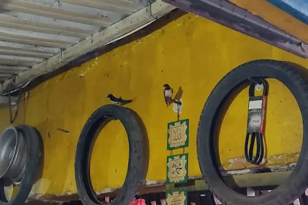 GÜLERCE OTO LASTİK - Oto Lastik Dükkanı - Manisa Alaşehir