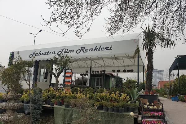 Avcılar Botanik - Çiçekçi - İstanbul Bakırköy