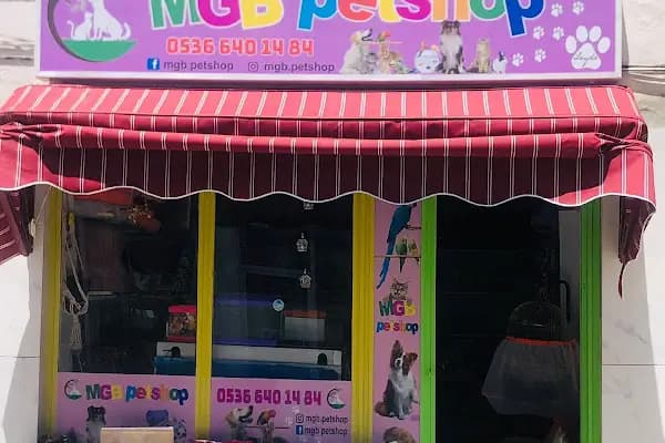 AYVALIK PETSHOP | MGB Petshop - Evcil hayvan mağazası - Balıkesir Karesi