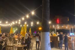 Palm Bira Bahçesi