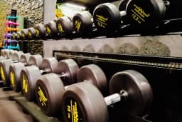 GOP Fit Club
