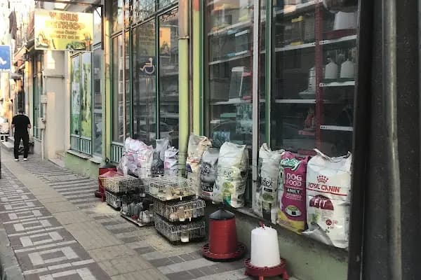 Yunus petshop - Evcil hayvan mağazası - Bursa Osmangazi
