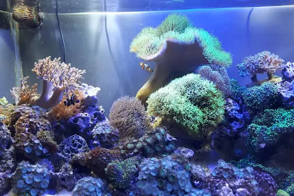 Ayzek Pet Shop - Evcil Hayvan Malzemeleri Mağazası - Ankara Etimesgut