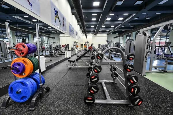 ANKARA BÜYÜKŞEHİR BELEDİYESİ ALTINPARK 100. YIL YÜZME HAVUZU VE SPOR KOMPLEKSİ - Yüzme havuzu - Ankara Keçiören