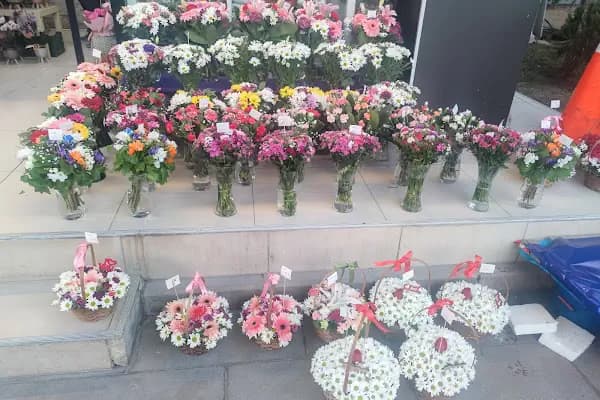 Eryaman Çiçekçi.. Hazal Çiçek 2 - Çiçekçi - Ankara Ayaş