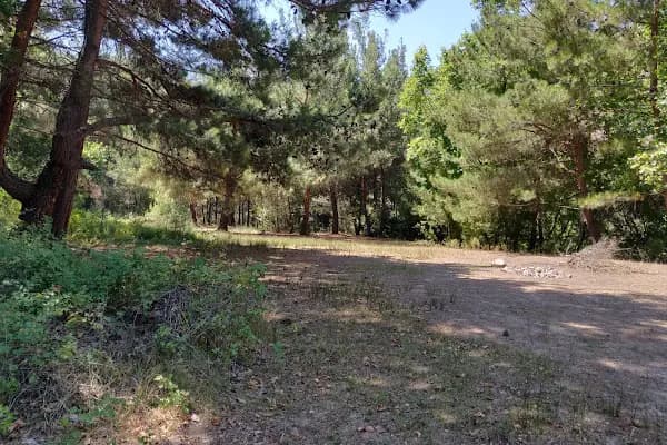 Nif Kulübe Kamp Alanı - Kamping Bungalov - İzmir Bergama