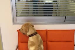 Alsancak Veteriner Kliniği