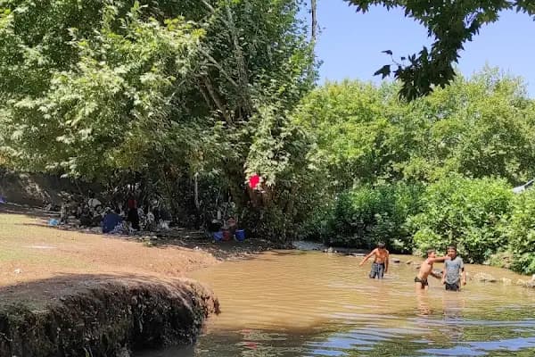 Kaptaş piknik alanı - Piknik Alanı - Şanlıurfa Ceylanpınar