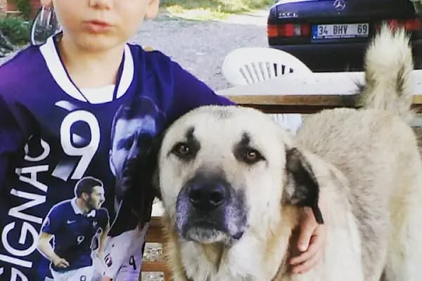Kardeşler Oto Yıkama - Araba Yıkama - İstanbul Bağcılar