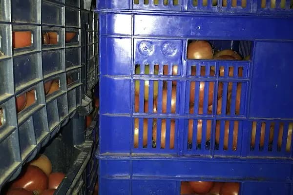 Domates Fabrikası - Konserve Fabrikası - Balıkesir Karesi