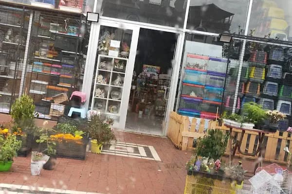 Altındağ Kadife Petshop - Evcil Hayvan Malzemeleri Mağazası - Ankara Yenimahalle