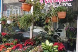 Esen Çiçek &amp; Müzik Evi