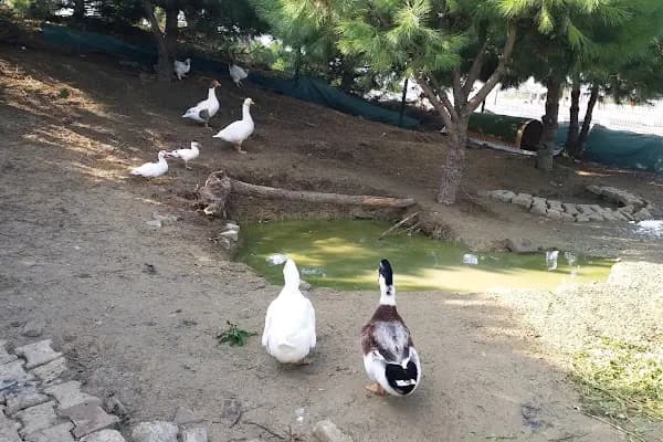 İstaç A.Ş IMRAHOR REHABİLİTE MAKSATLI HAFRİYAT SAHASI - Kurumsal Ofis - İstanbul Ataşehir