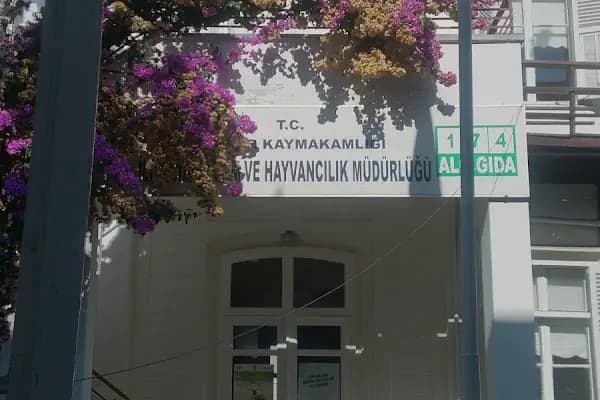 Loc'ada Büyükada - Restoran - İstanbul Adalar