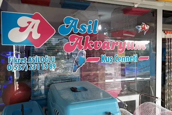 Asil Akvaryum - Evcil Hayvan Malzemeleri Mağazası - Tekirdağ Ergene