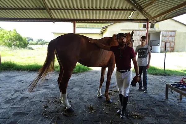 Olimpos Çiftliği - At Binme Hizmeti - Tekirdağ Çorlu