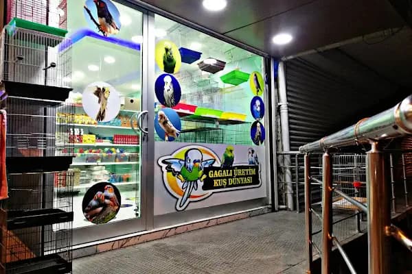 Mega Akvaryum &amp; Pet Shop - Evcil hayvan mağazası - Diyarbakır Yenişehir