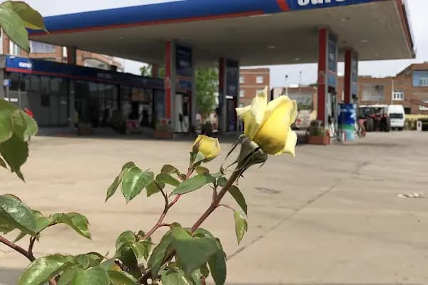 Salihoğulları Petrol ( Şimşek Petrol ) - Yakıt Tedarikçisi - Diyarbakır Yenişehir