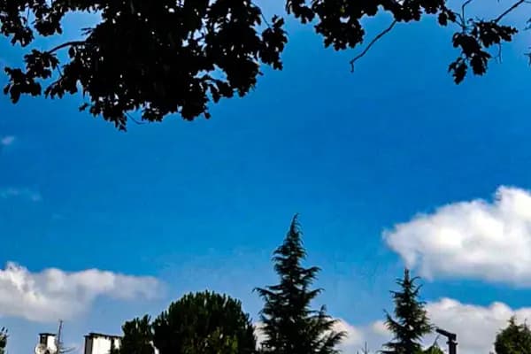 Sürücü sınav alanı - Okul - Sakarya Adapazarı