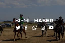 Bismil Haber