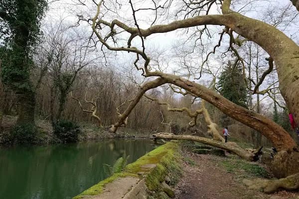 Mehmet Akif Ersoy Milli Parkı - Ulusal park - İstanbul Sarıyer
